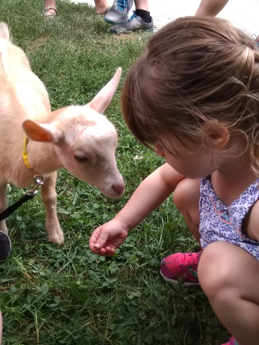 SlowFoodIndy's tweet image. Having a great time petting baby goats @BroadRipplePark with @GirlsRockIndy at their fundraiser! Thanks to @caprinicreamery for bringing the goats! 
#babygoats #slowfoodusa #slowfoodmovement #indy