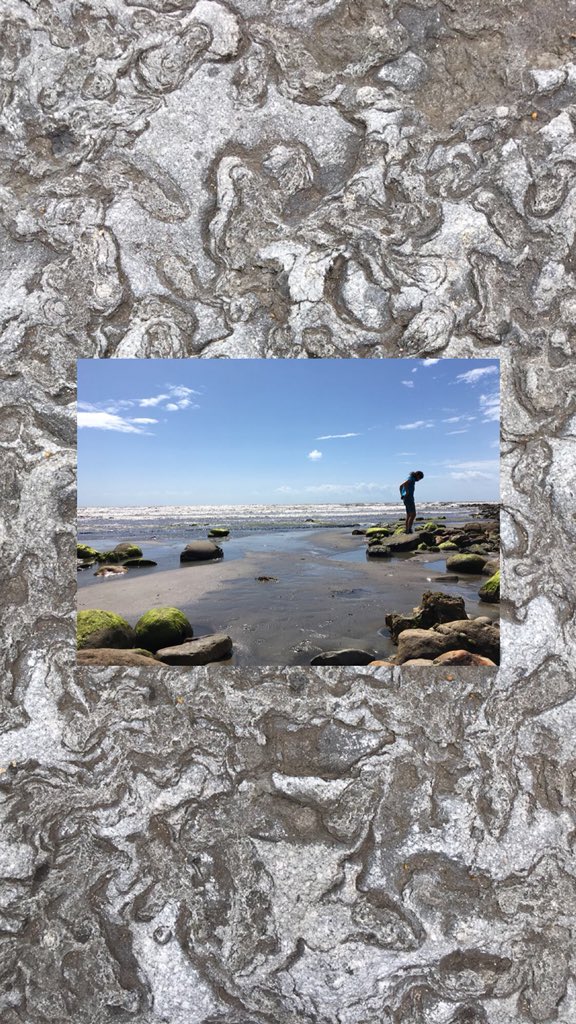 Francescalevey's tweet image. Had so much fun yesterday. We went fossil hunting on Charmouth beach for Stacey’s birthday. Although we didn’t discover any new species, I fully embraced my inner 6 year old, scrabbling around in the pebbles. #fossilhunt