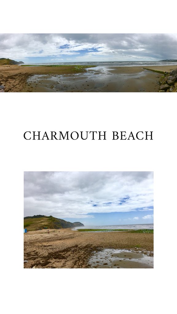 Francescalevey's tweet image. Had so much fun yesterday. We went fossil hunting on Charmouth beach for Stacey’s birthday. Although we didn’t discover any new species, I fully embraced my inner 6 year old, scrabbling around in the pebbles. #fossilhunt