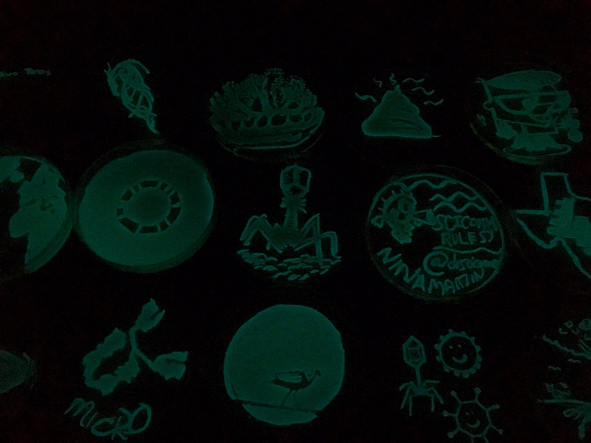 swirlgirl31415's tweet photo. Part 2. More #LuxArt Peeks. @markowenmartin @MostlyMicrobes #ASMCUE18 https://t.co/7cZP04ULJR