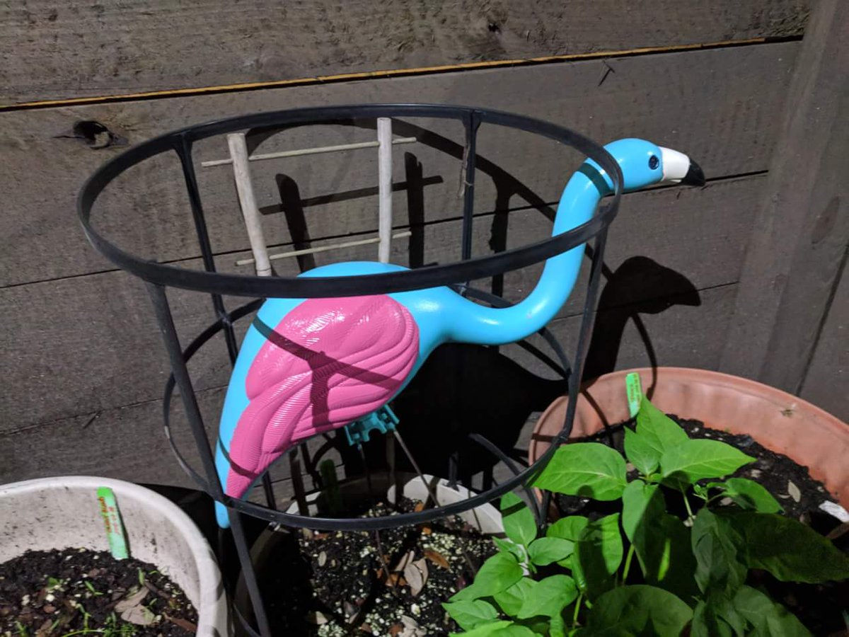 A re-touch of my garden flamingo that was faded from 4+ years of Florida sun. 🙃☀️