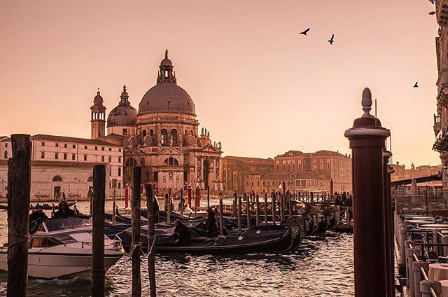 MrSamLoyd's tweet photo. A Venetian sunset.
.
.
.
.
.
#travel #explore #venice #travelgram #italy #mastersofvisuals #instagood #venicecanals #lifeofadventure #exploretocreate #theimaged #boatsofvenice #igersvenezia #travelphotography #iger #wonderfulglobe #livetoexplore #liveto… https://t.co/0RADzWaKnh https://t.co/kS8zlfdkRM