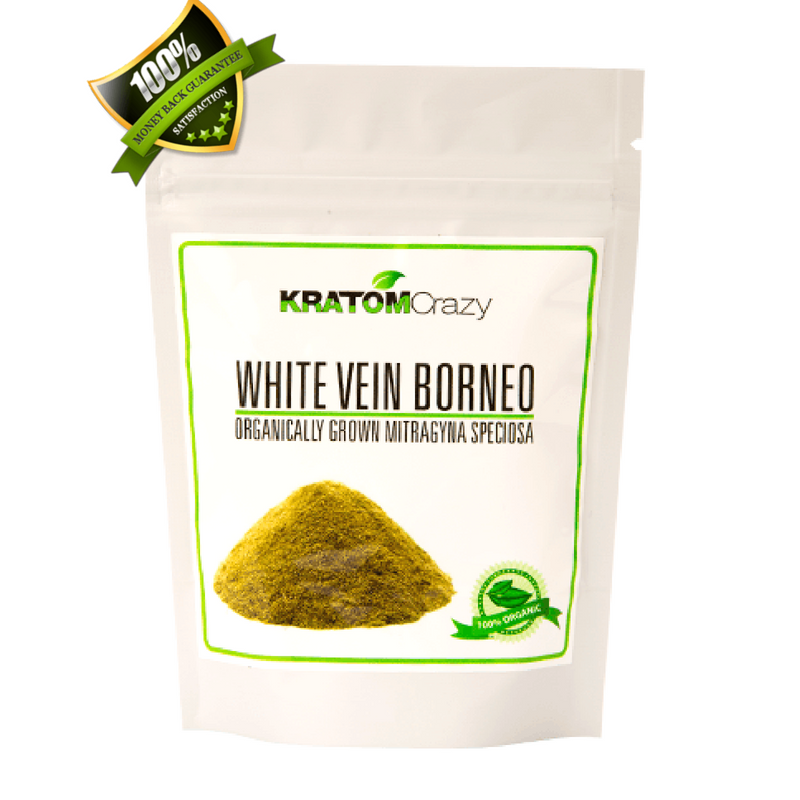 Kratom_Crazy's tweet photo. Each variation of this #strain has been cultivated with different purposes in mind, ranging from reportedly providing an #energyboost to a reduction in #depression #symptoms. Get yours here... https://t.co/4jlVsws3bq https://t.co/hOogCweuzg