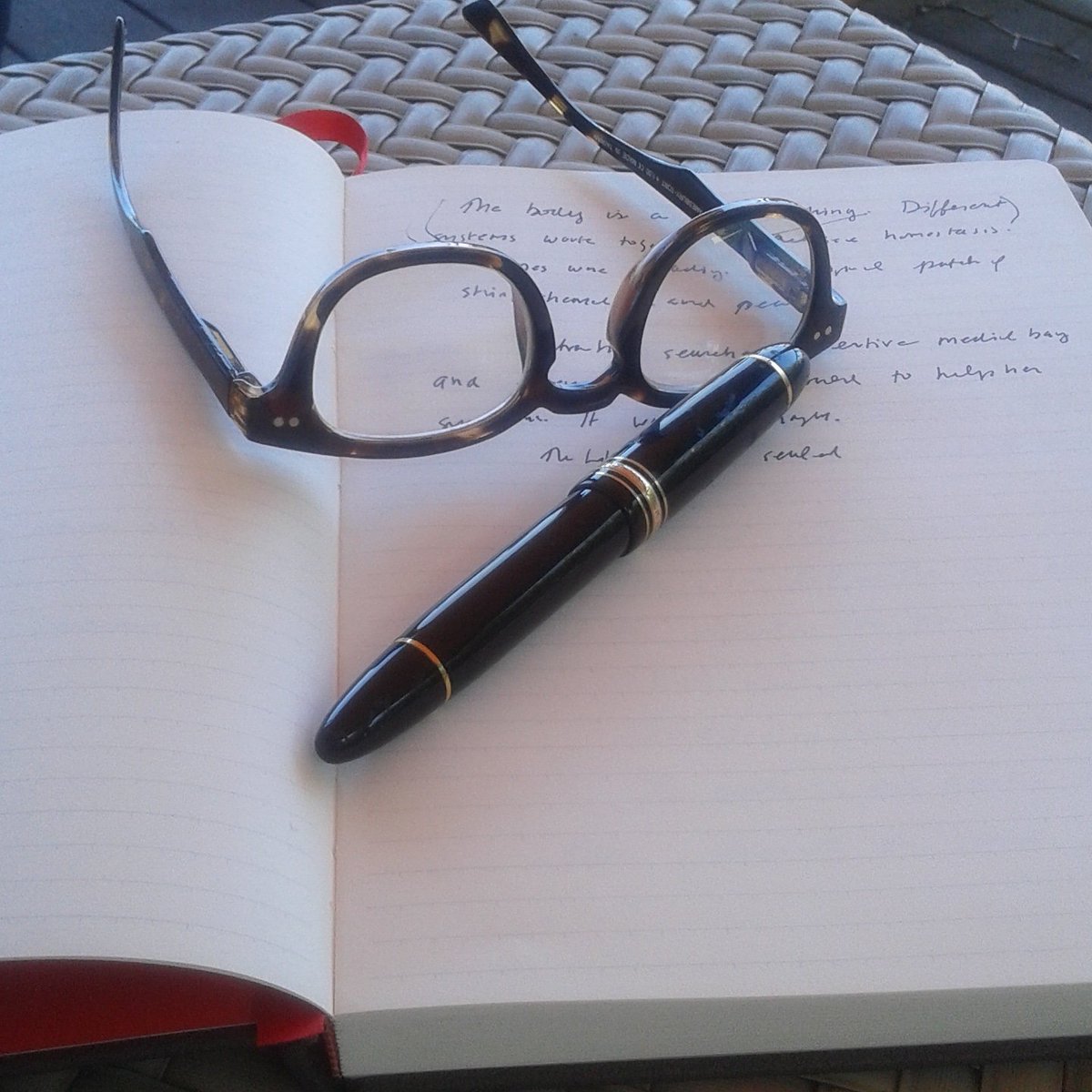 Rina_Palumbo's tweet photo. Great morning to get some writing done! @codeandquill #mycodeandquill https://t.co/p7uWNL8FL0