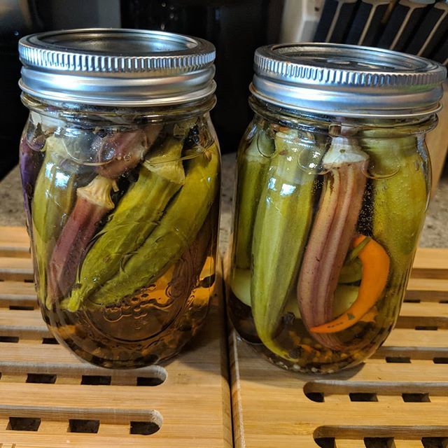 BlackManCookn's tweet photo. #Pickled #Okra #Fresh from the #Garden yes, I don't mind if I do. #BlackManCooking #WhatsOnYourPlate #ItsAllGravy https://t.co/ZPIBH10wIA
