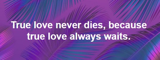 JennefferConne1's tweet image. True love never dies, because true love always waits.&amp;gt;&amp;gt;&amp;gt; #followback #follow4follow #followforfollow #folloMe #TheMostFollowingCrew #SIGUEMEYTESIGO #SiguemeYTeSigoAlInstante #SiguemeYTeSigoEnSegundos #ViernesDeGanarSeguidores #SextaDetremuraSDV @HoneyTariq