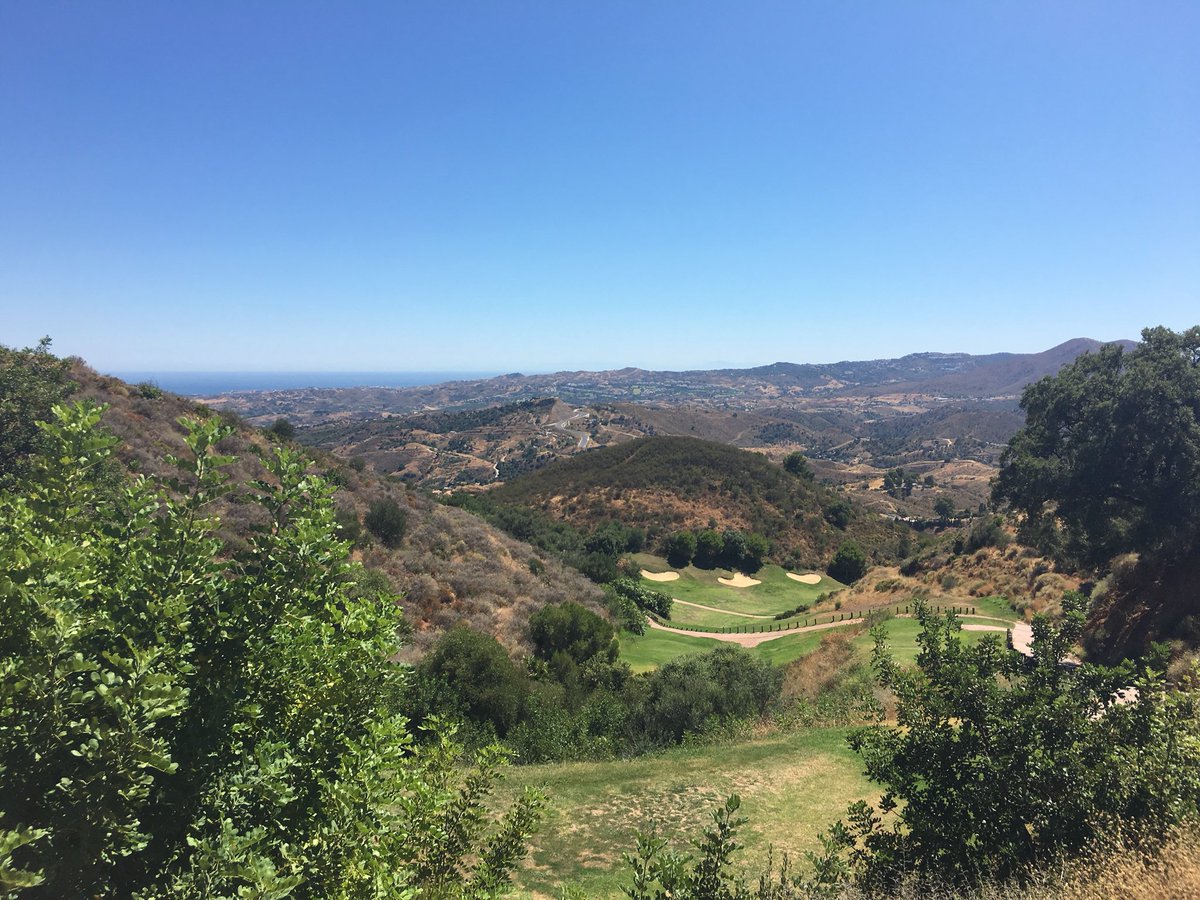 Richard Lappin tweet media