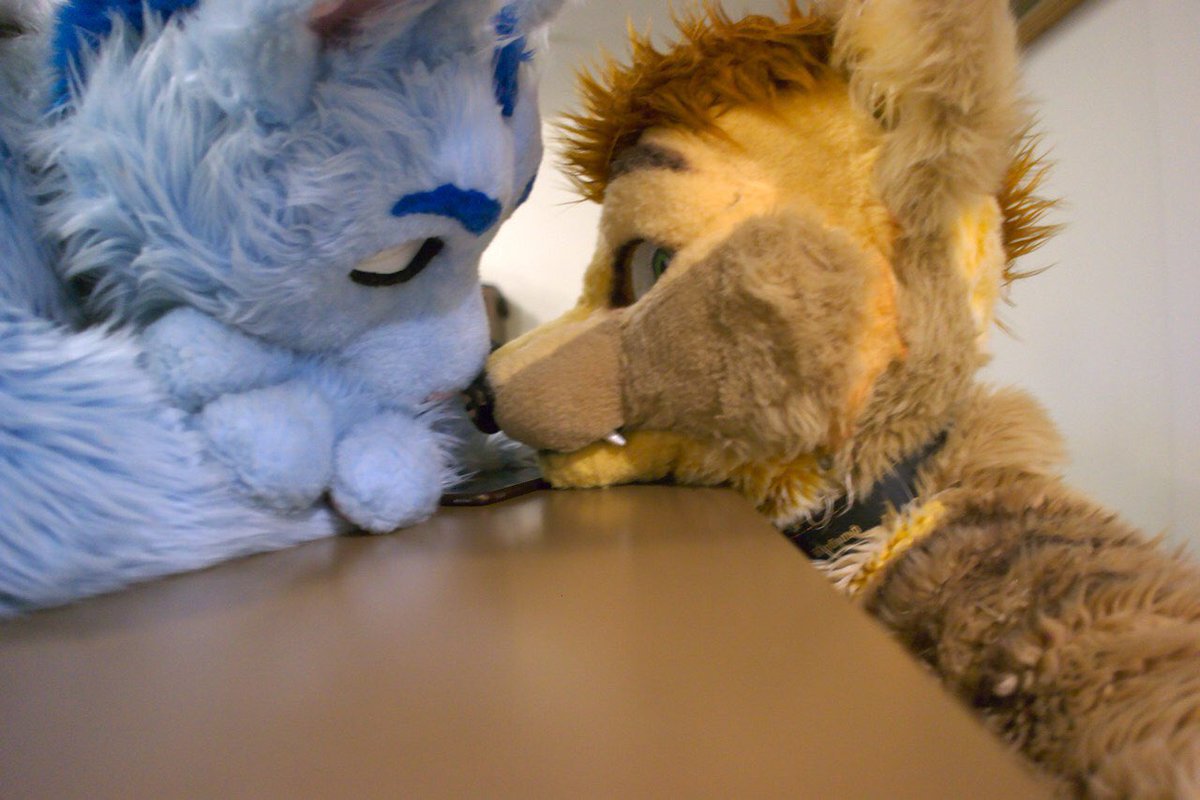 RolandPaws's tweet photo. Me and @wolfurryon by @mrCheetahPaw at #GLC2017 https://t.co/GtTCHwINKF