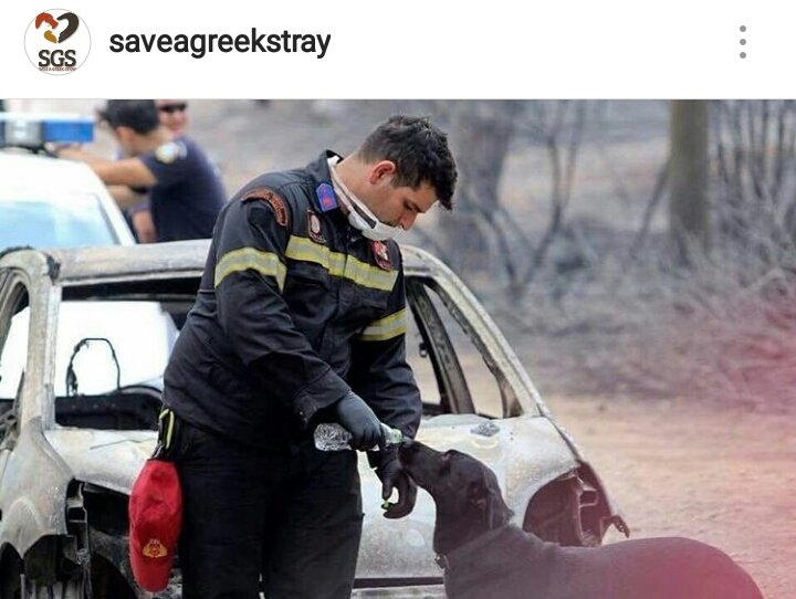 Ένα ευχαριστώ σε αυτούς τους ήρωες. 
We owe these heroes a huge “Thank You”.
#saveagreekstray #heroes #ourthoughtsandprayersarewithyou