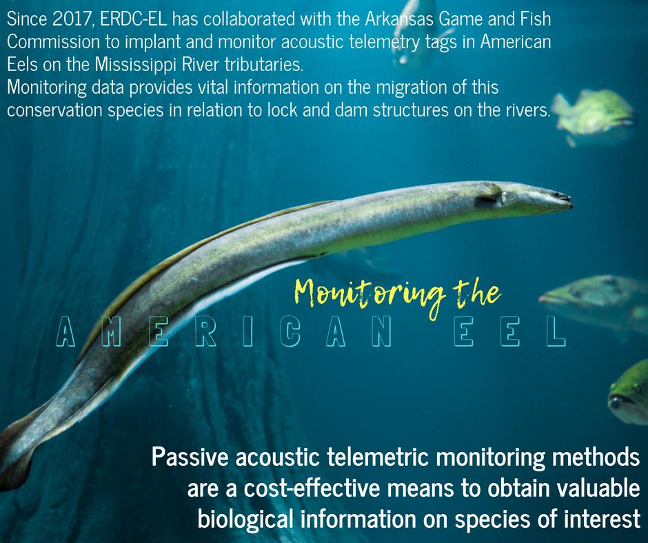 USACEHQ's tweet image. #discoverdevelopdeliver #PowerofERDC #ELab #ERDC