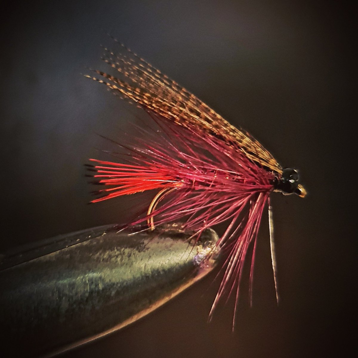 DerSchwarzBaron's tweet photo. Tonight's offering for Seatrout lovers.
'The Dark Mackerel.'
#fltying #flyfishing https://t.co/aONeE8XZXZ