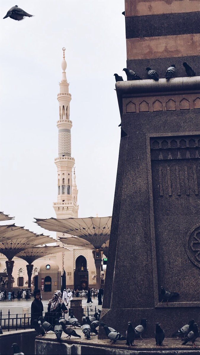 سـهـم الدبيسي tweet media