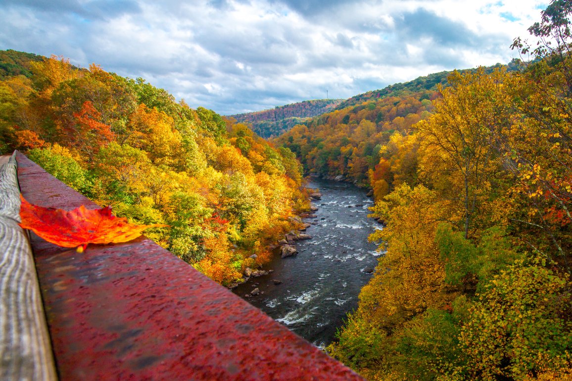 laurelhighlands's tweet photo. The Laurel Highlands had three locations selected as "The Most Beautiful Places in Pennsylvania" list by @wbir.

See why our beautiful fall foliage, @Fallingwater and covered bridges made the list: https://t.co/fgx2T0c66h https://t.co/botvpglhiX