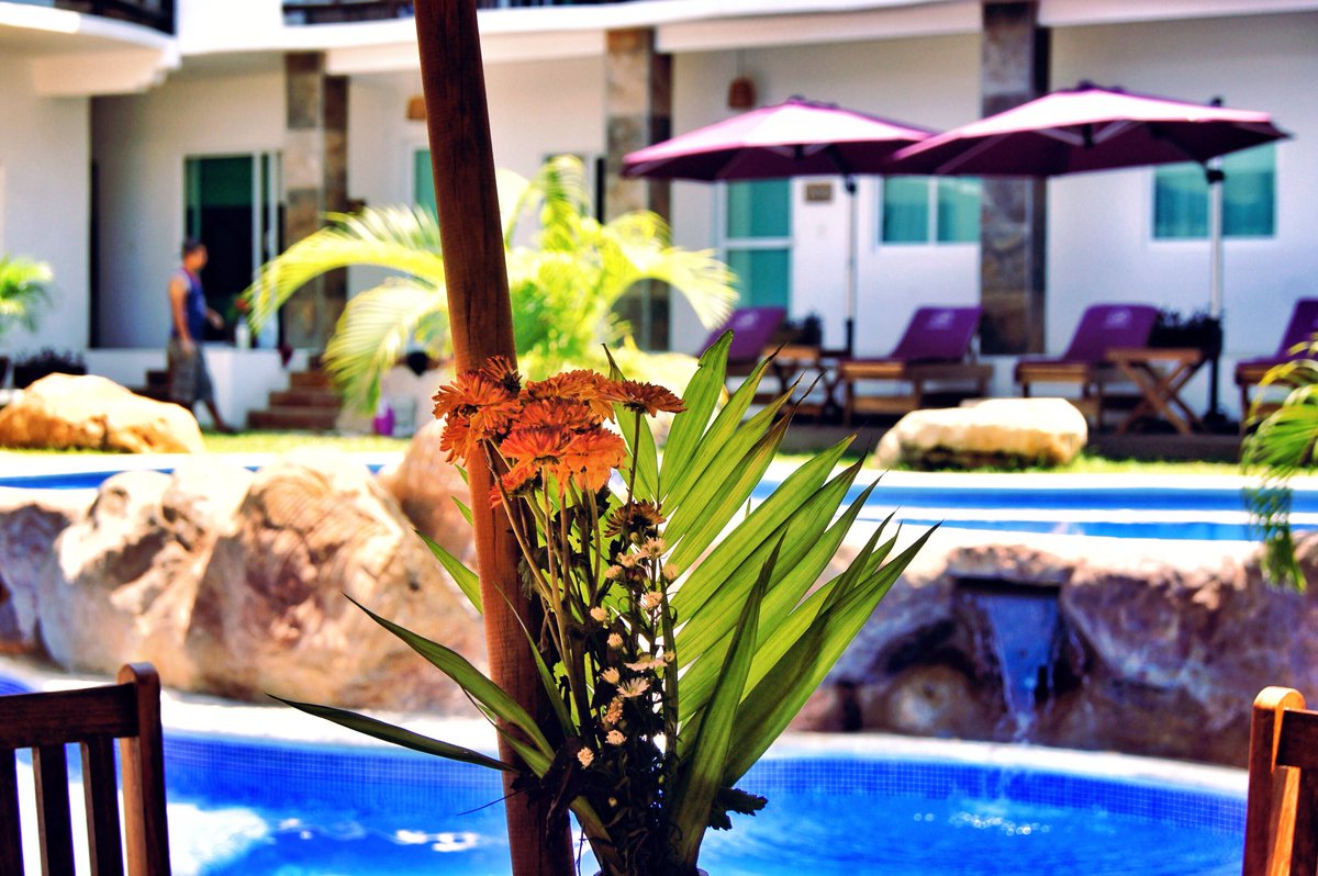 Sunday’s are made to relax! 😎☀️