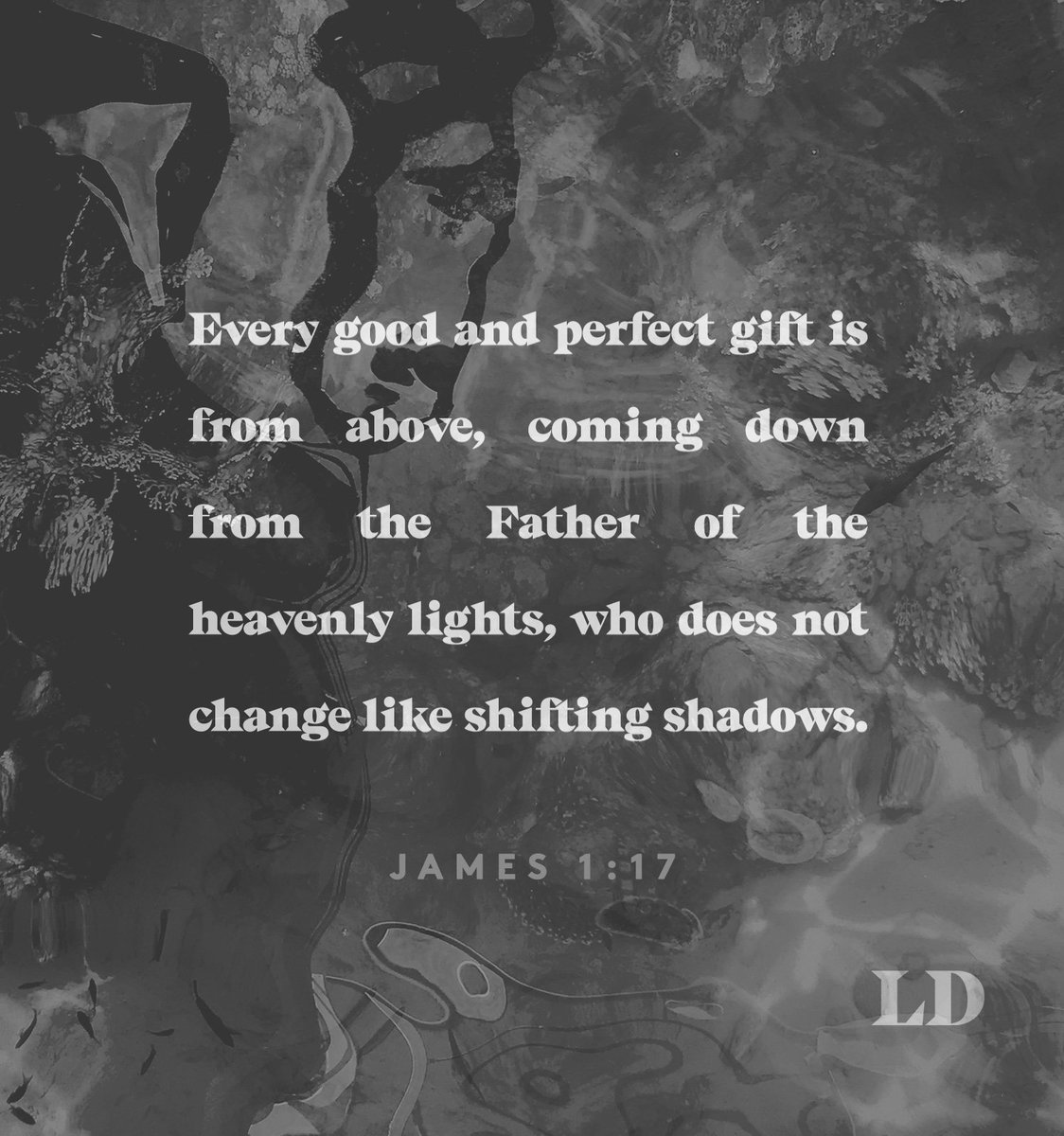 Lauren_Daigle's tweet photo. https://t.co/YE6yiHpsdF