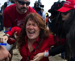 AnnCoulter's tweet photo. NYT publisher complains to @realDonaldTrump about POTENTIAL violence agst journalists.  NYT not interested in ACTUAL violence against Trump supporters. https://t.co/TRnnn73o3I