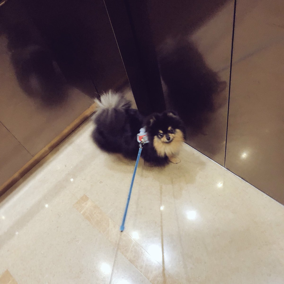LaYoungDeBTS's tweet photo. 🌸😍Yeontan  es tan pequeño y una belleza💓🌸🙈😍

[♡Me enamora♡]

@BTS_twt 

#PicsPartyBTS https://t.co/4dZp4TykeR