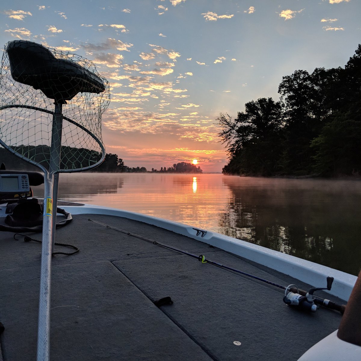 meghan simons tweet media