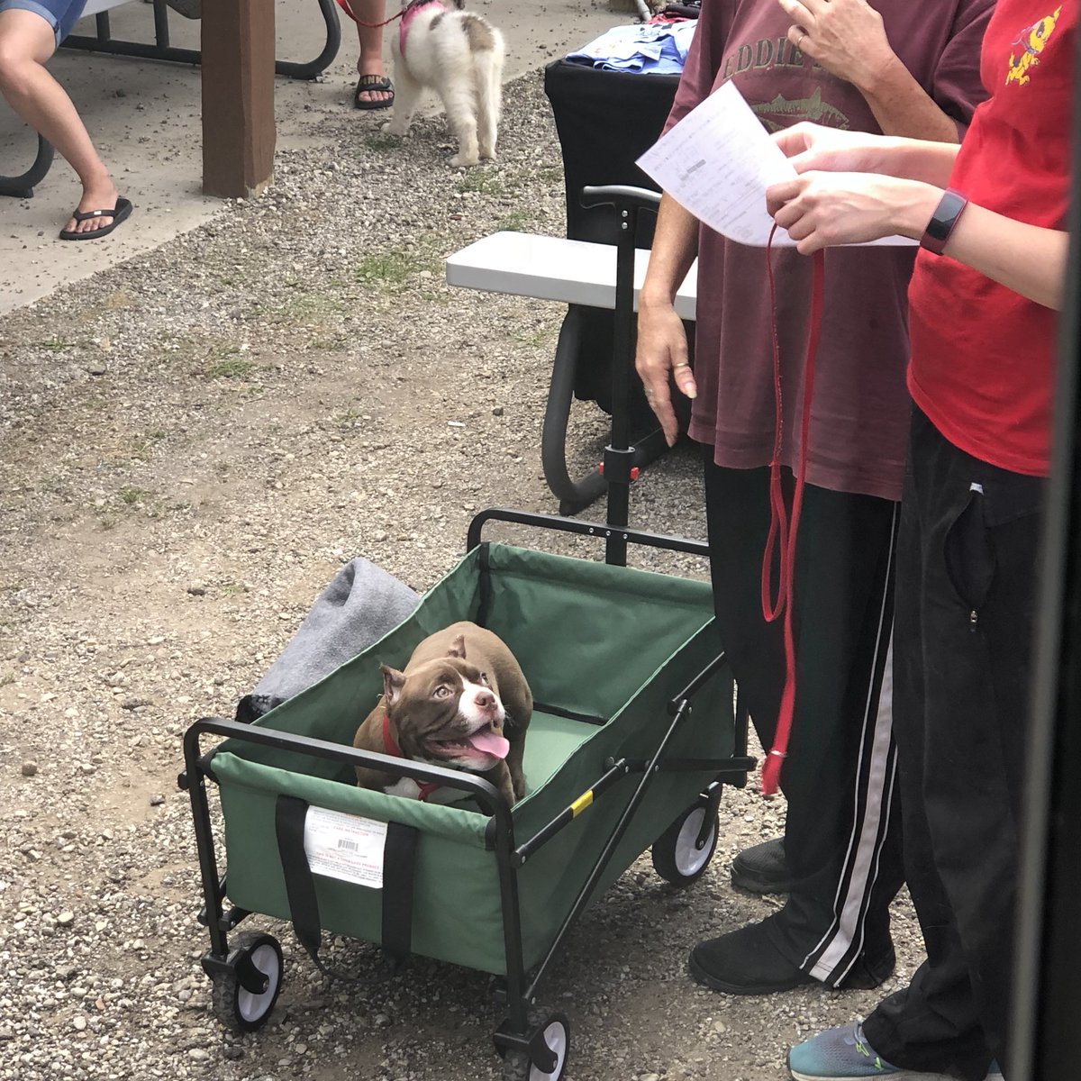 RascalUnit's tweet photo. 150 pets helped during today’s #HOPE clinic!!! Thanks to #COPitSavers and @RescueMeOhio for sponsoring today’s clinic. Thanks to the @ShamrockClubCol for hosting us once again. And thanks to the awesome owners who brought their pets today.

#petwellness #dog #puppy #rascalteam https://t.co/kBBb5K4s3B