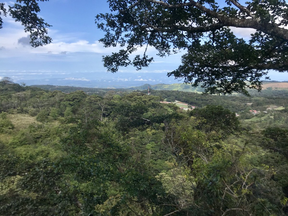 Bethany_GirlsSp's tweet photo. Canopy Tour @bethanyschkent @TAExpeditions https://t.co/eARcOlG4Eh