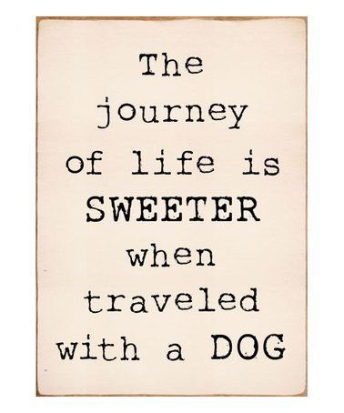 takethehound's tweet photo. Looking for recommendations for dog friendly places to eat and visit in Dorset #dogfriendly #dorset #placestoeat https://t.co/mmtPONxbxL