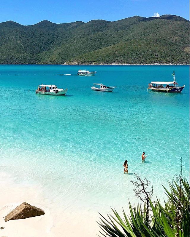 TotalHoliday_ tweet picture