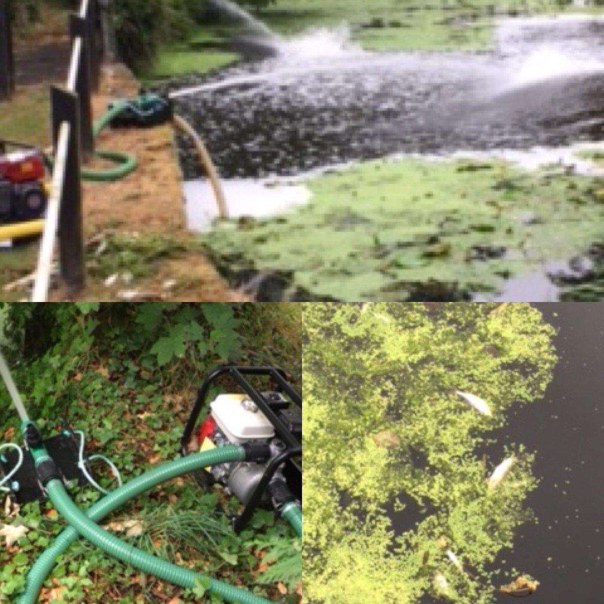GrahamVerrierEA's tweet image. On the River Brett dissolved oxygen levels were as low as 3%. Aerators will be left running overnight at #LayhamMill and #TinkersLane on the #RiverBrett and manned by @EnvAgencyAnglia Operations staff overnight.