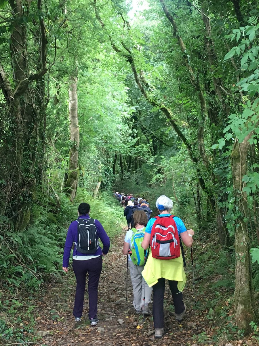 rowe_lily's tweet photo. Walked St Declan’s Way from Aglish to Ardmore, lovely journey! Well done to @KMDActive for organising. #StDeclansWay #pilgrimspath #Ardmore https://t.co/206YGeOlaL