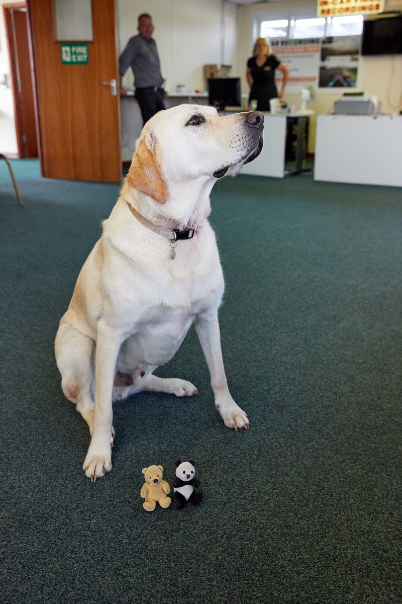 Sitting and posing nicely with Edy at Thruxton, Stephie got a bit more than she bargained for