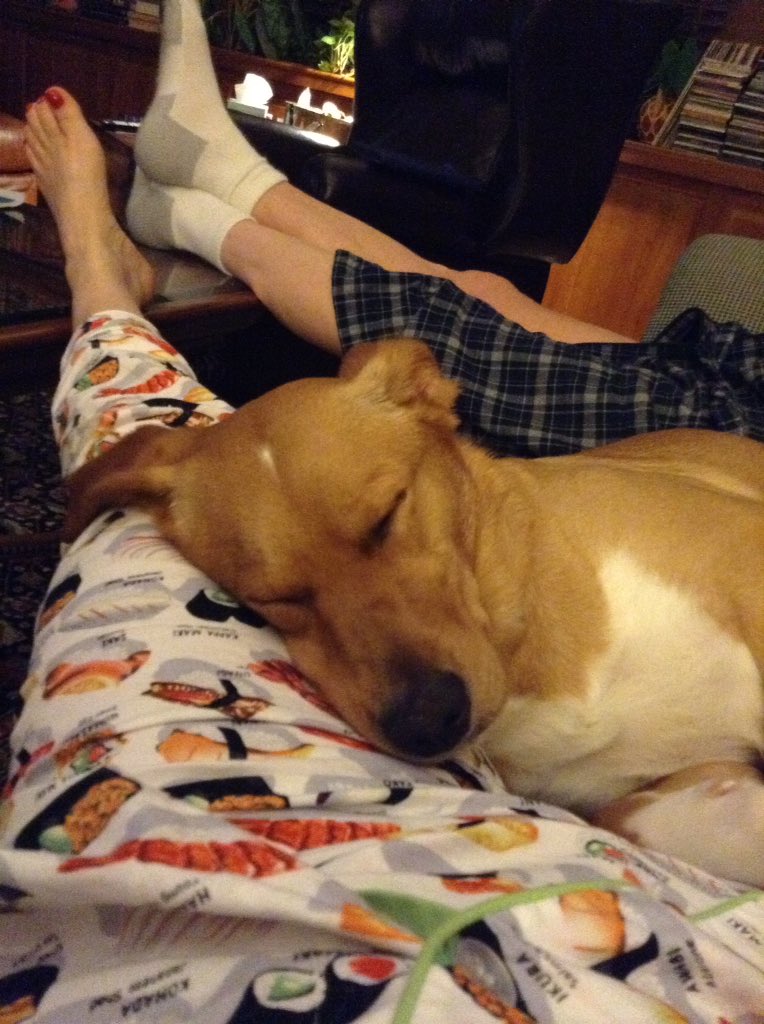 Cozying up with Ruby Kadooby, the sweetest doggie around.