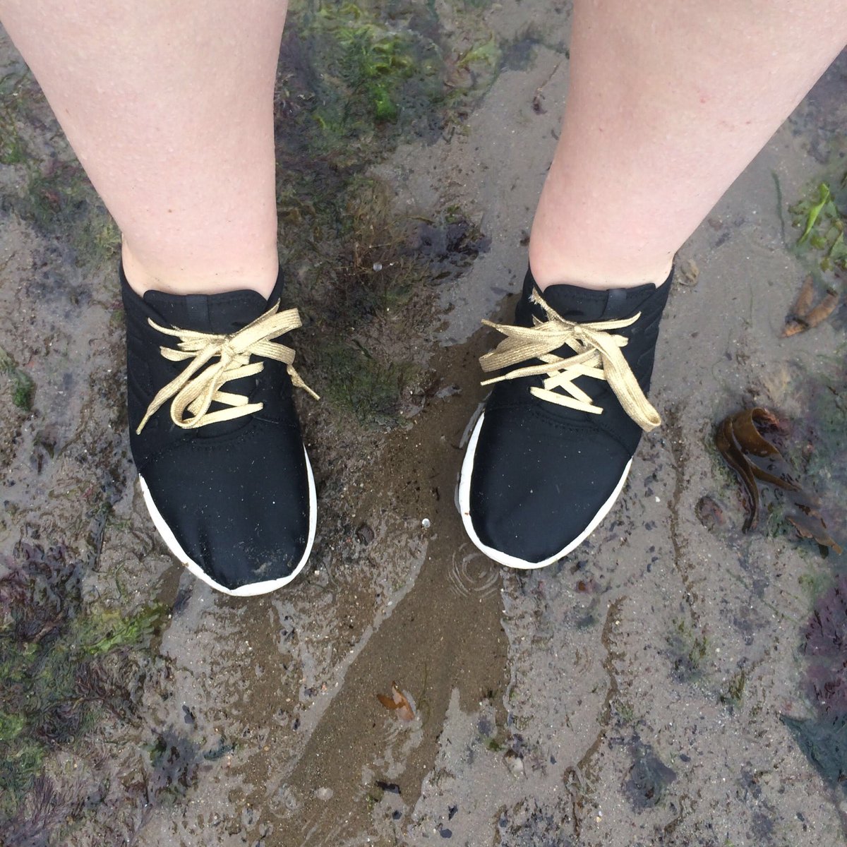 WYP_SallyB's tweet photo. Holiday is not going well. We had a walk round Robin Hoods Bay today (got to get my #GlobalChallenge2018 steps in!) &amp; got so wet through that when we took refuge in a cafe for a cup of tea, we left puddles behind from the water dripping off our clothes. My tan is not golden yet. https://t.co/HMSEl6AQOo