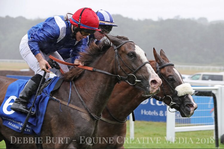 ArabianRH's tweet photo. #congratulations @DIA_Races @ARO_Racing #patron HH Sheikh Hamdan bin Rashid Al Maktoum #threetimer 🏆🏆🏆@NewburyRacing #DIAR2018 #Taqdeeraat @HarryBentley_ #Saleemah @sammyhitch trained @CollingtRacing #NoAndNoAlMaury #FrancoisXavierBertras @DWatrigant https://t.co/scn6kXhN3i