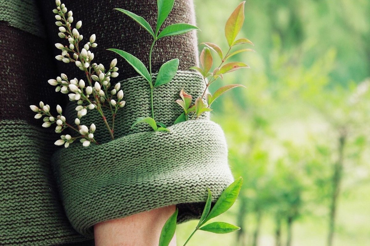 NjoudALhjab's tweet photo. " اينما أنبتك الله .. أزهر " 🌿✨ https://t.co/aRYxPReGBv