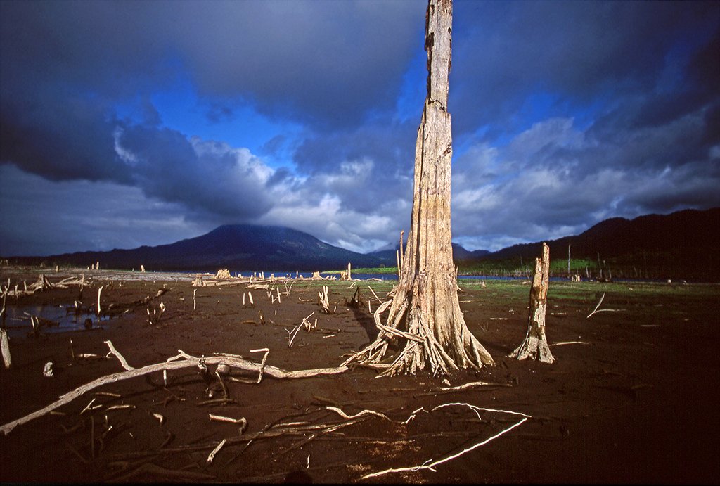 IMFNews's tweet photo. Climate change is set to have a significant impact on many countries, including the #CAPDR region. Macroeconomic policies will need to be calibrated to accommodate more frequent weather-related shocks. https://t.co/xVnNLRipxr https://t.co/LVFDp3CQBb
