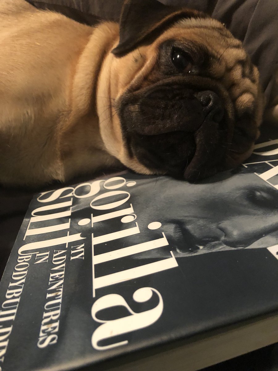 When he realized he will never be as great as <a href="/parisbob/">Bob Paris</a>