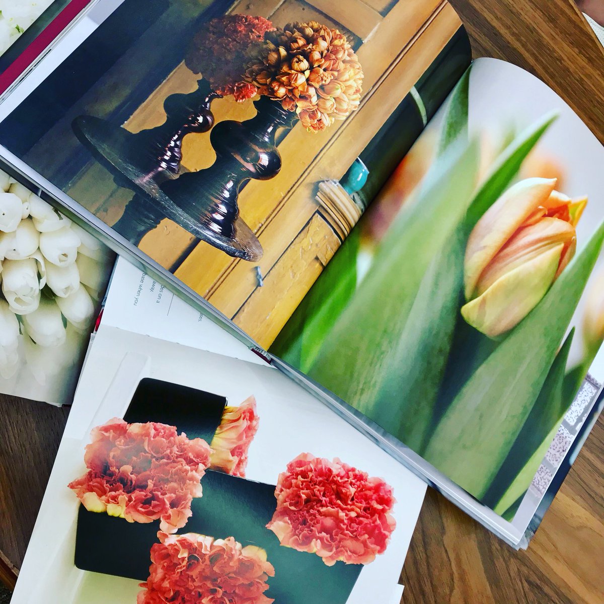 ShowpieceEvents's tweet photo. Feeling inspired by these amazing books that I just bought!! 📸 @showpiece_events 

#eventplanner #eventdesign #eventdecor #floraldesign #floralcenterpiece #floralarrangement #wedding #bridalshower #babyshower #party #birthdayparties #nova #northernvirginia #showpiece_events https://t.co/zqONAEoUZH