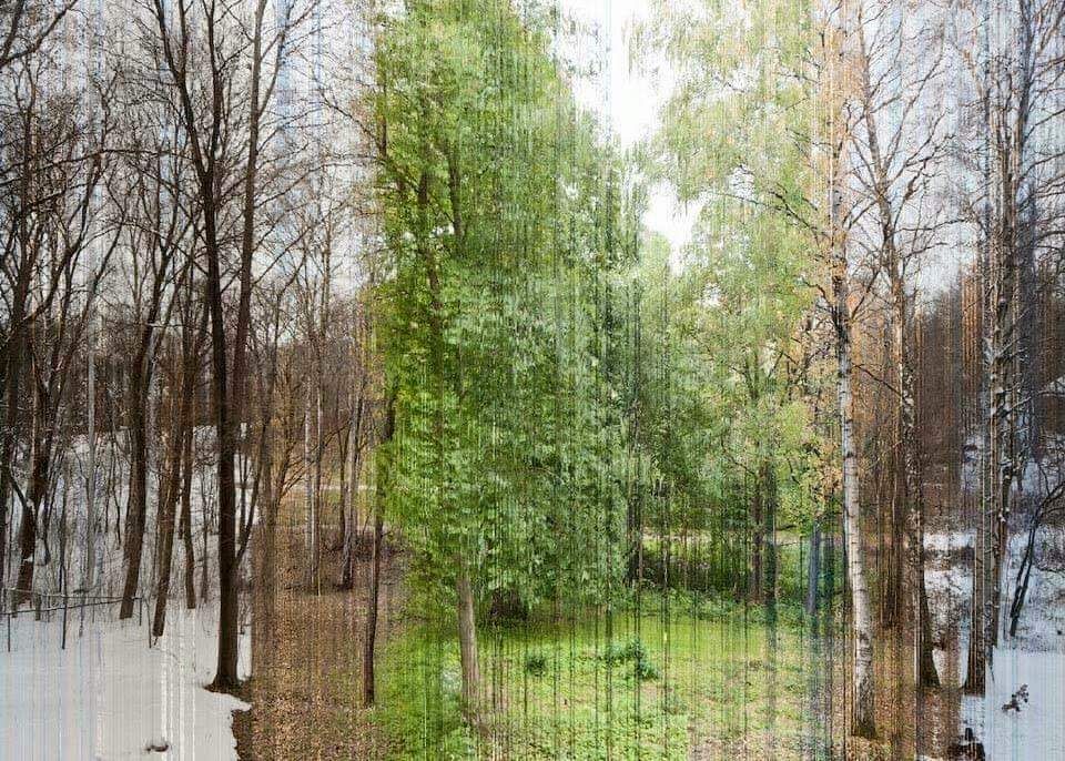 pixoftheearth's tweet photo. A picture in 365 slices, each slice taken on a different day of the year. https://t.co/OmWpQeHuQK