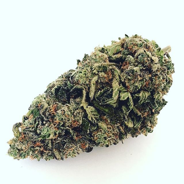 THCBayArea510's tweet photo. #sfweed #mmj #bayarea420 https://t.co/QPOpUxVHgg https://t.co/2SwYP5LZwd