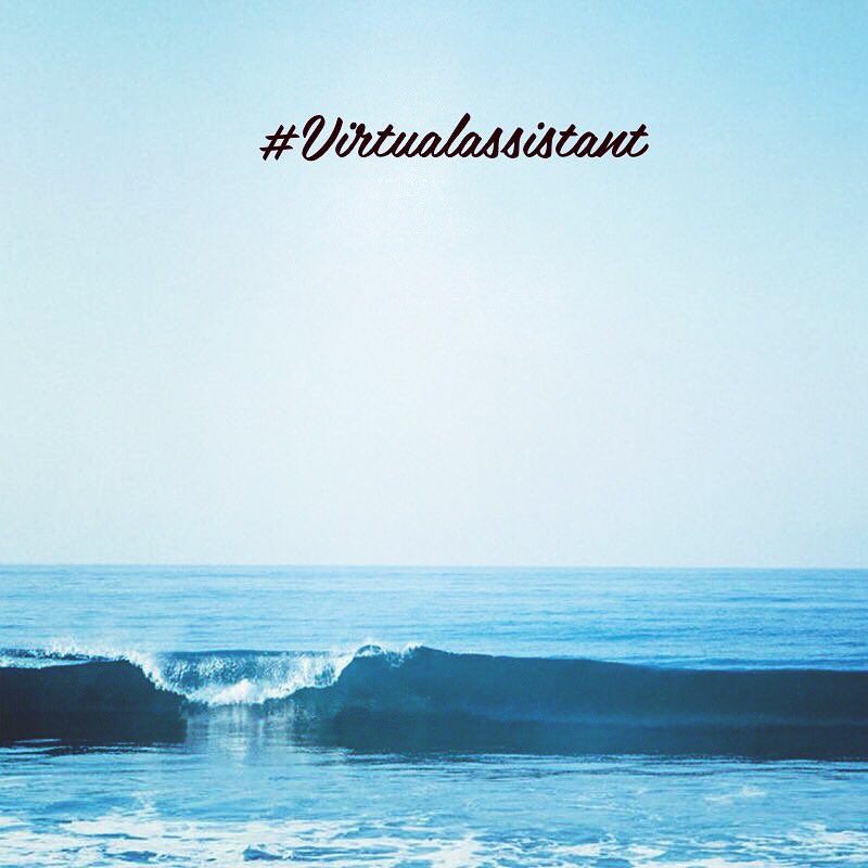 link_assistant tweet picture