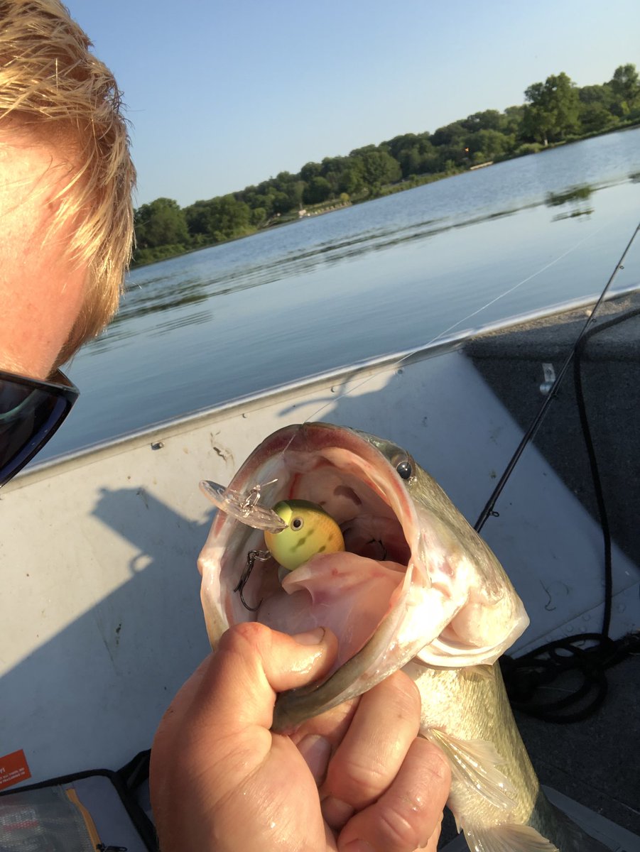 congoFishing's tweet photo. That is how you want them to eat it! https://t.co/yvZsIPCQyi