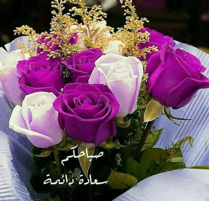 Dmo3_aAlward's tweet photo. https://t.co/3aaOytqdhu
