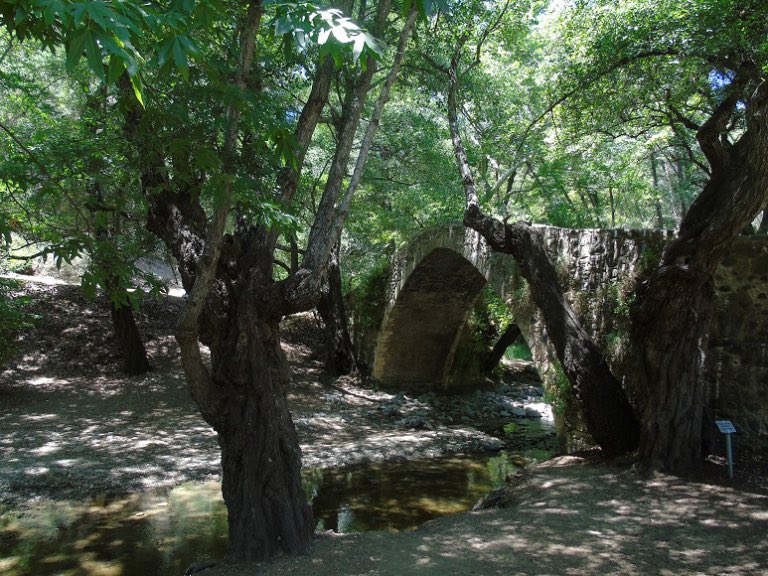 WanderPlusLust's tweet photo. 📣New post📣
How to enjoy the #Akamas peninsula and the #TroodosMountains when in #Cyprus with @EcoTourCyprus #WanderPlusLust #travel https://t.co/LmWar1o14K https://t.co/fALO8mKRt2