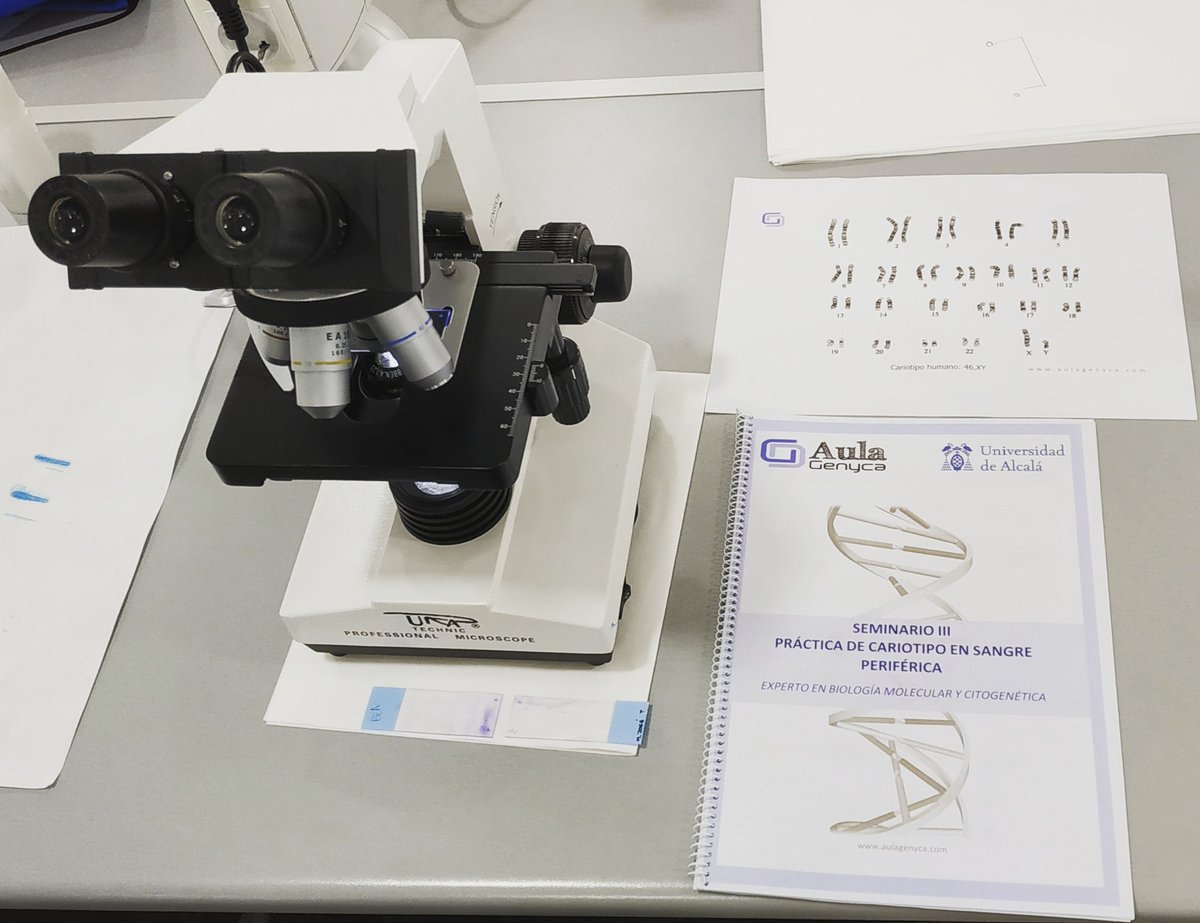 genyca's tweet photo. #AulaGenyca
Prácticas de citogenética haciendo tu propio cariotipo!
Posgrado Experto en Biología Molecular y Citogenética con Universidad de Alcalá de Henares @uahes
Últimos días con 20% Dto
https://t.co/TvzOVxaAzf
#posgrado #laboratorio #BiologiaMolecular #citogenetica #genyca https://t.co/vl8ztWRQgj