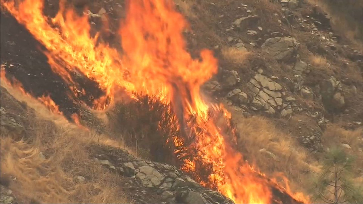#BREAKING Firefighter struck by tree, killed while battling Ferguson Fire near Yosemite
abc7.la/2NWBw8n