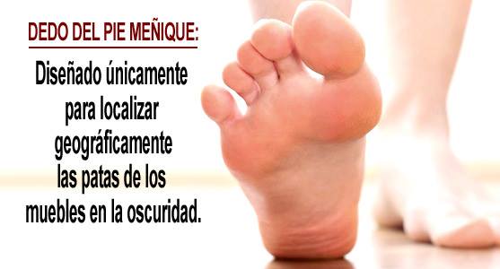 Brochazos's tweet photo. Es como un radar, aunque necesita contacto físico. Muy útil e infalible https://t.co/WyGmNb0iAg