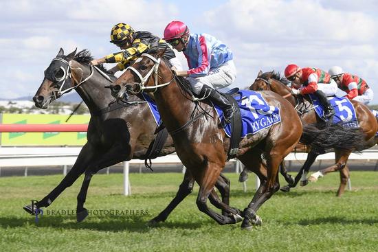 GrandSyndicates's tweet photo. MARK MY WORD jarred up on Saturday at Rosehill & has been spelled.
A great first prep for @cavanoughracing who has done a super job with the troublesome fella since he arrived.
2 wins, 2 placings & a 4th beaten under a length from his 6 starts.
#StableFlying #TeamGrandโญ https://t.co/yZdoptg1CK