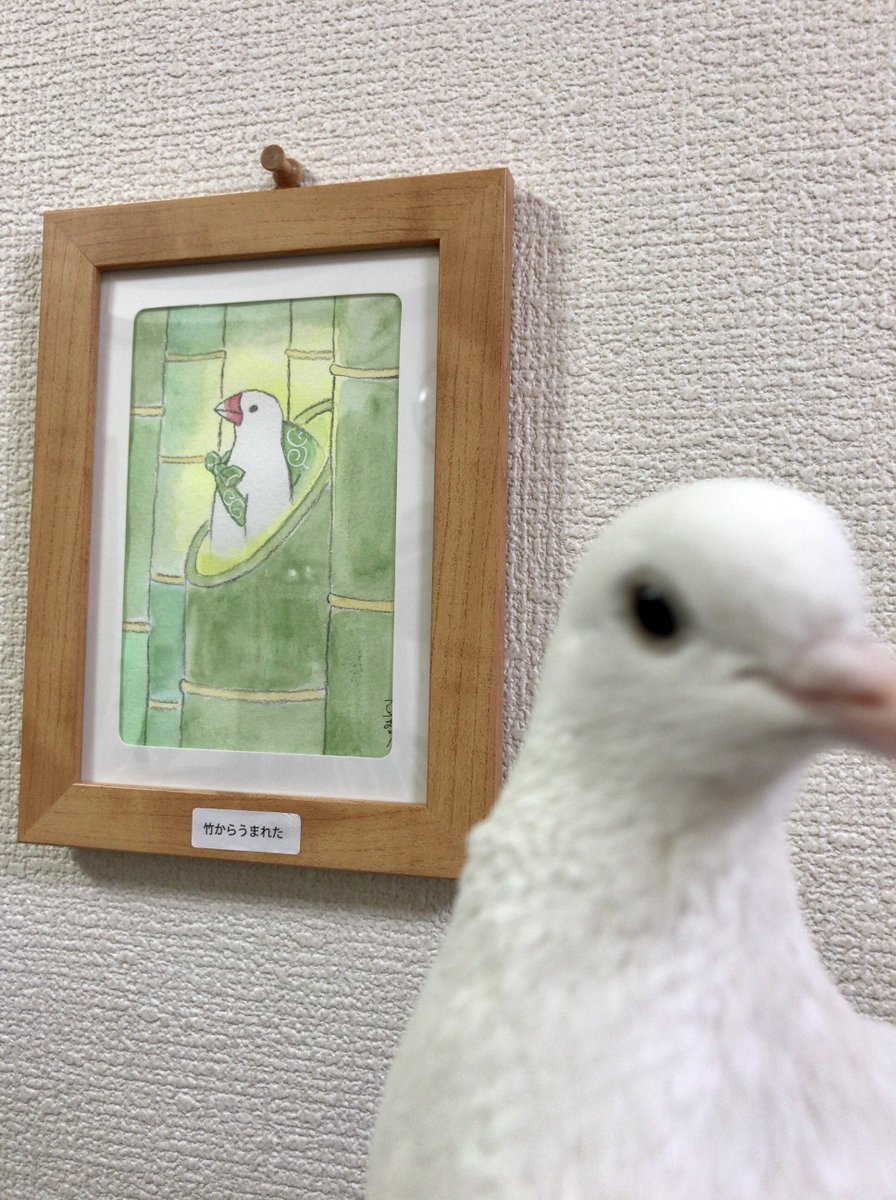 Uzivatel Moa Na Twitteru 先日の鳥イベントで辻さん Tsujisaoricp のふろ文原画をお迎えしました 神々しい