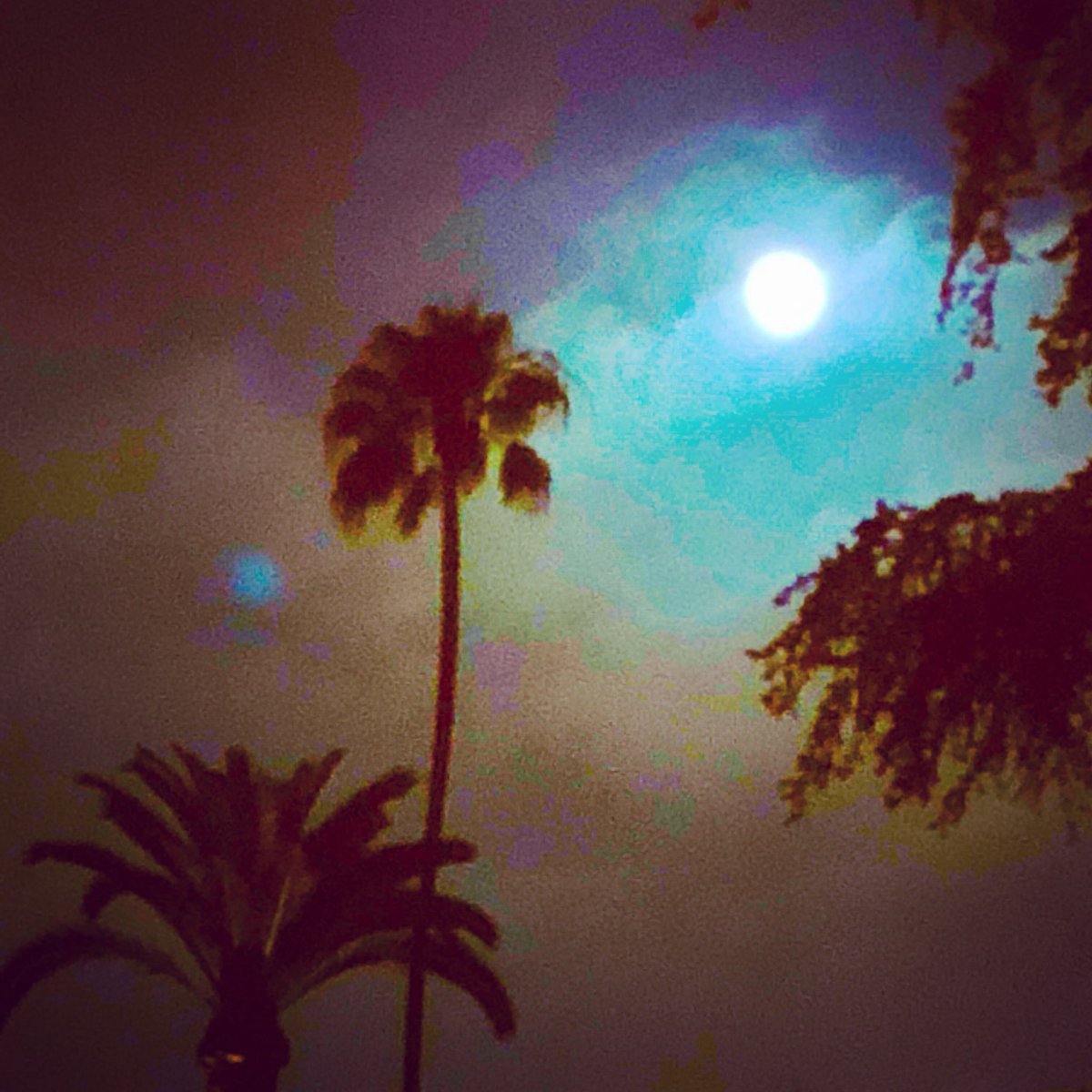 Celebrated weekends in the #bestcity in the #world #livefree #enjoy #la #LaLaLand #california #weekend #farmersmarket <a href="/TheGroveLA/">The Grove LA</a> #weekendvibes #organic #vintage #lunareclipse #goodtimes #hollywood #star #sundayfunday #grove #sunshine #beach #sun #chill #family #love #magical