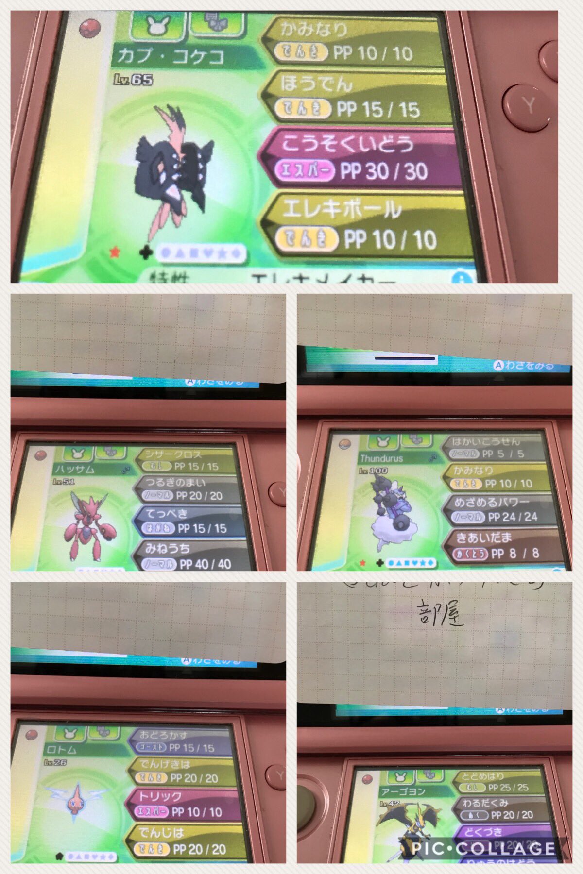オッチャマ 固定ツイいいねしたらフォロバ ポケモン配布 ケロマツの色違い出ないから気晴らしにやりますね笑 参加方法は フォローリツイートです いいねはいりません メモをよく見て参加してください ポケモンウルトラサンムーン ポケモンサンムーン