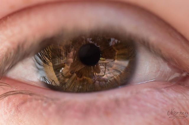 commandernormy's tweet photo. Brown Eyes are the most awesome~
#eyeday #eye #eyephoto #eyesphoto #eyemagazine #eyeoftheday #browneye #eyephotography #photooftheday #pictureoftheday #awsome_macro #photography #nikon_photography #macrophotography #makrofotografie #macrovision #nikond56… https://t.co/tfquIv78Xt https://t.co/HcMqQgQqwf